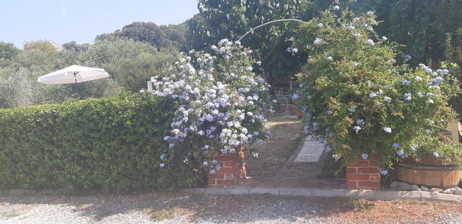 Apartments Robi- Swimming Pool And Beautiful Garden Kampor Εξωτερικό φωτογραφία